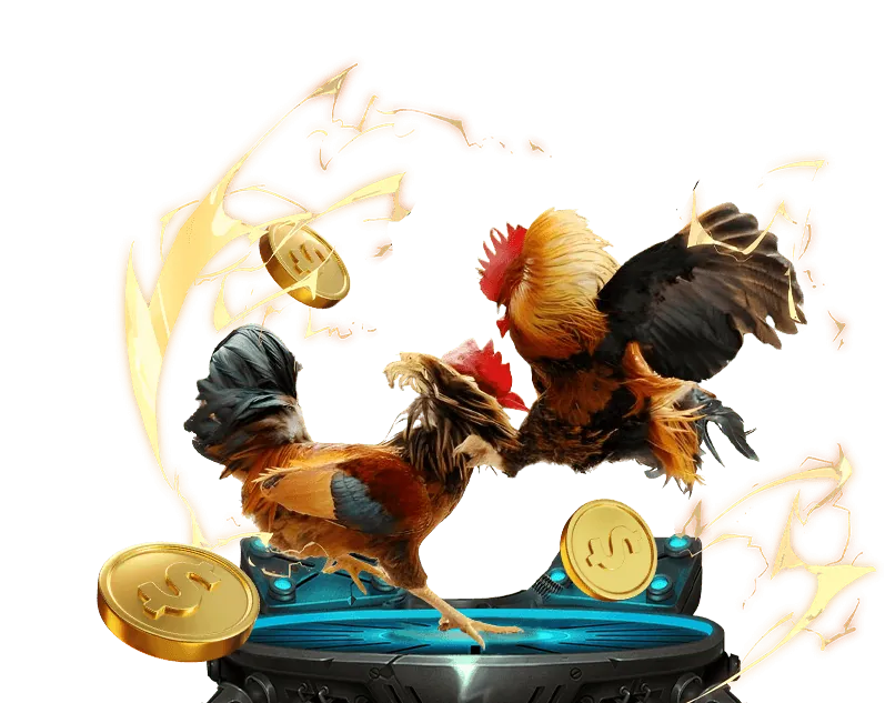 Hoàn trả hàng ngày bongvip